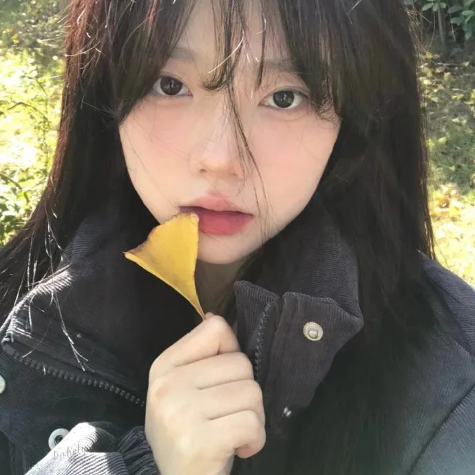 小狼居家守则